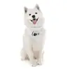 Bufanda Triángulo para Mascota Estampado de Huella de Amor Gato y Perro Bufanda para Babas de Mascota Venta Caliente Transfronteriza Bufanda Vestido para Mascota