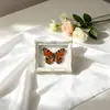 Mariposa Ojo de Esmeralda Azul Mariposa Real Imán para Refrigerador Espécimen Marco de Fotos Terminado Regalo de Gama Alta Pintura Decorativa