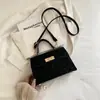 Bolsa de Ombro de Luxo Feminina Outono e Inverno 2025 Nova Tendência Retro Bolsa Transversal Fosca Versátil Bolsa Carteiro Bolsa Kelly