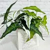 Nuevo producto transfronterizo: planta verde artificial, planta de taro grande, decoración de escritorio y sala de estar para el hogar, decoración de pasillo de boda, planta en maceta