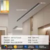 Luminária de Teto Longa Minimalista de Sobrepor para Sala de Estar, Corredor Criativo, Corredor, Varanda Ensolarada e Varanda - Modelo Novo 2026