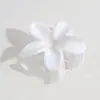 Pinza de Mariposa de Doble Capa Gradiente Dulce Elegante Sizzy Versátil para Mujer Pinza de Garra para el Cabello de Disco de Nicho de Moda Accesorios para el Cabello