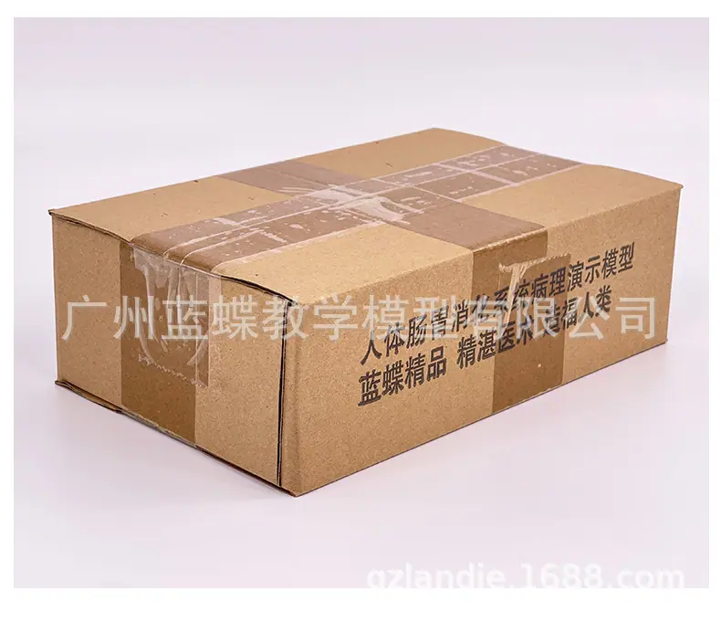 详情30