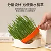 Caja de Hierba para Gatos Nueva Transfronteriza Hidropónica Bola para Vómito de Pelo de Gato Bolsa de Snacks para Gatos Semilla de Trigo Planta en Maceta
