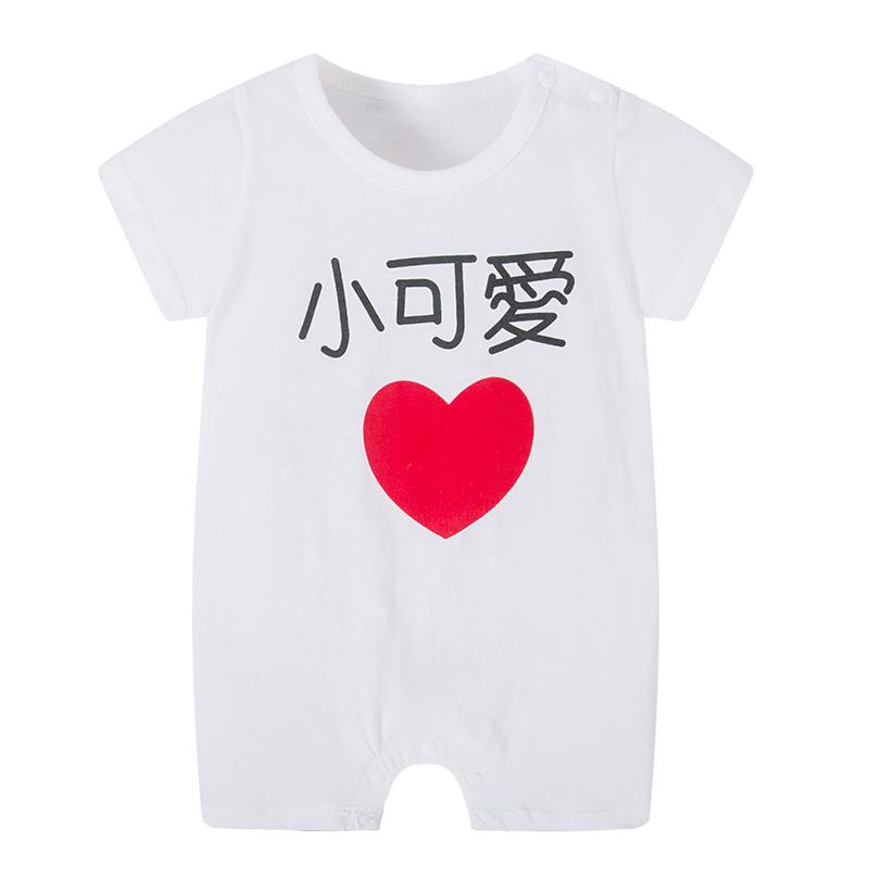 1901白小可爱