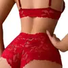 Conjunto de Lingerie Sexy Novo Estilo Cruzado Europeu e Americano, Conjunto Sexy de Renda Transparente com Meia-calça para Casa
