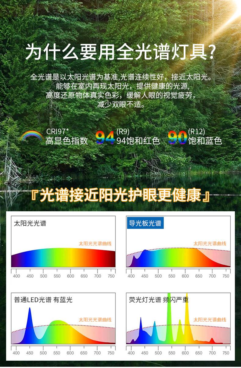 描述图_8