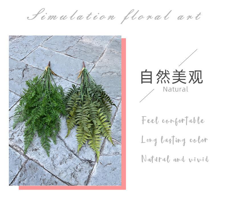 中号飞燕草-详情_02.jpg