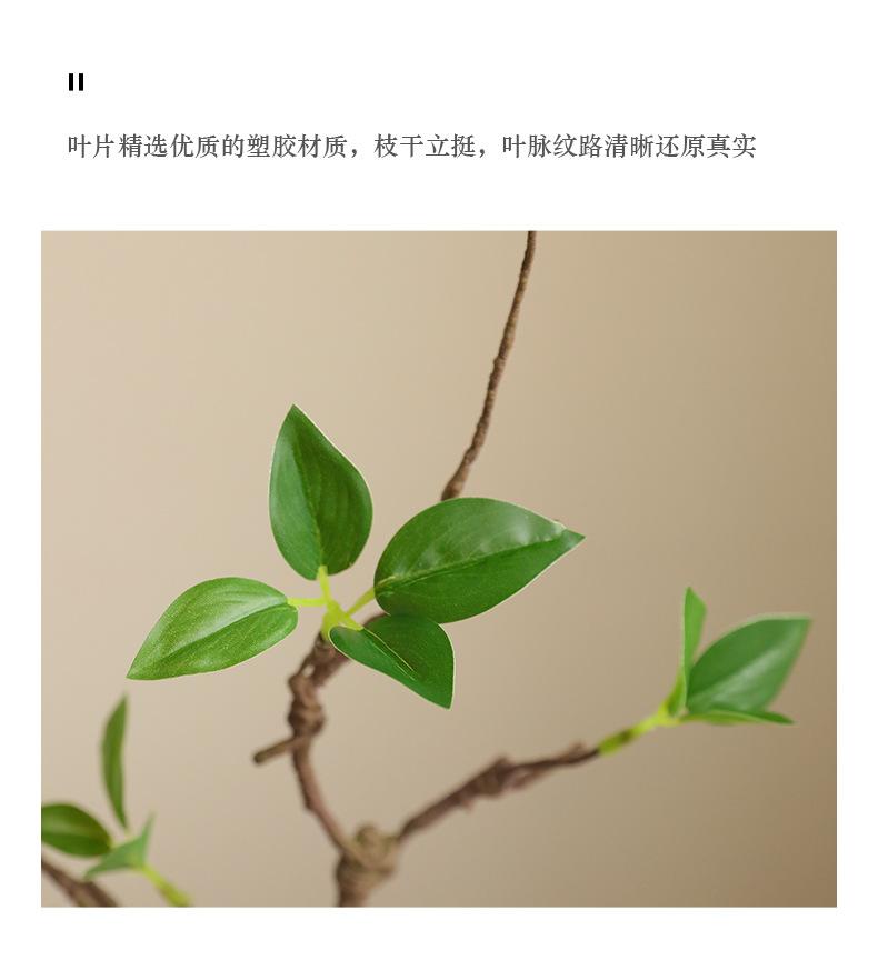 单支枯枝嫩芽_05.jpg