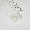 Pendientes de Borla de Flor de Cristal Degradado con Cuentas Hechos a Mano Accesorios Decoración de Ropa Venta Directa de Fábrica Al Por Mayor en Stock