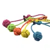 Juguete de Tire y Afloja para Perros, Juguete para Perros para la Dentición, Juguete Resistente para Masticar para Cachorros, Suministros para Mascotas para Perros Pequeños, Procesamiento de Cuerda Masticable para Mascotas