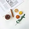 Paquete de Materiales para Creación de Entorno de Jardín de Infancia de Bellota de Fruta Piña Accesorios para Sesión de Fotos Decoración de Fruta Hecha a Mano DIY