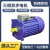 Motor trifásico Dingyi YS8024, máquina termorretráctil, horno refinador, ventilador de circulación de eje largo, motor de eje largo de 750 W
