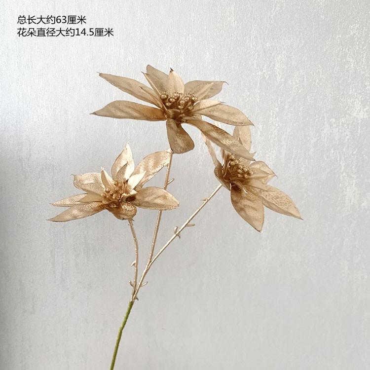 QQ图片20220505100544