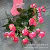 Flores Artificiais, 7 Rosas Pequenas, Tecido de Seda Artificial, Decoração de Casa, Paisagismo de Canteiro de Flores, Rosas Artificiais de Plástico, Pequeno Buquê de Flores