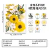 Kit de materiales DIY de especímenes de flores secas para regalos creativos hechos a mano para novias y amigas, decoraciones de escritorio