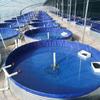 Tanque de Almacenamiento de Agua de Huerto Personalizado, Piscina de Lona de Lámina Galvanizada, Estanque Grande para Peces, Bolsa Redonda de Agua para Irrigación Agrícola, Engrosada