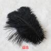 Venta al por mayor de fábrica 15-20 cm pluma de avestruz actuación escénica pluma pequeña material de decoración de joyería DIY pluma de avestruz