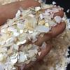 Fragmentos de concha natural 500g Precio 1000g Precio preste atención a los fragmentos de concha para decoración de uñas rodajas gruesas tamaño 4-6 mm