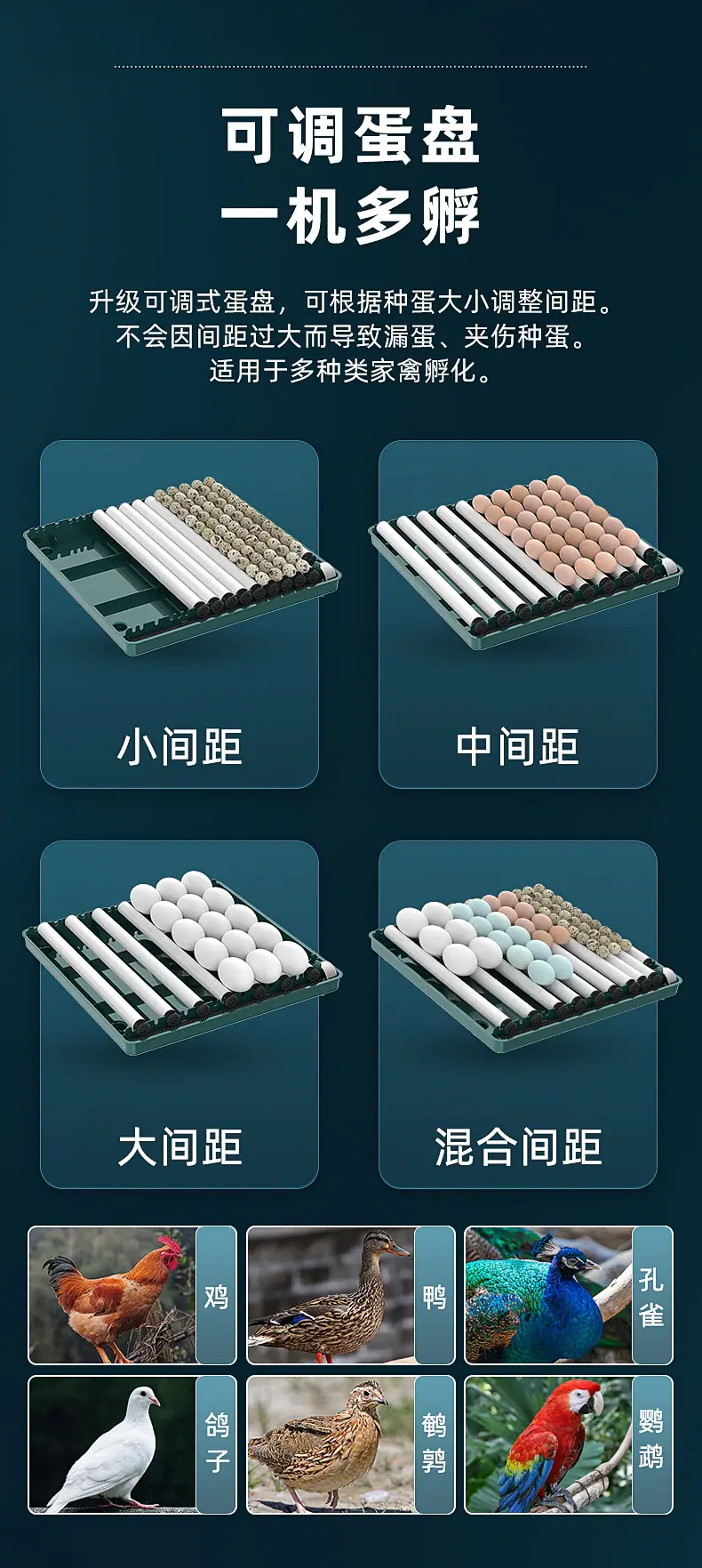 详情_06.jpg