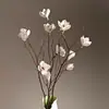 Magnolia Nórdica Rama Larga Flor Seca Ramo Grande De Pie Ramas Secas Naturales Flores Secas Hechas a Mano Gabinete de Entrada con Rejilla Abierta