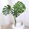 Planta Hidropônica Monstera Planta Verde Purificação do Ar Interno Ave do Paraíso Folha Grande Folhagem Perene de Interior Vaso Tronco Velho
