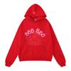 Sudadera con capucha para hombre y mujer, estilo de cantante de hip hop europeo y americano, con letras de espuma impresas del mismo estilo 555555, para pareja.