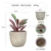 Planta en Maceta Artificial Mini Transfronteriza Hecha a Medida Adornos de Escritorio Bonsái Suculento de Simulación Flor Artificial Planta Verde Pulpa Suculenta Planta en Maceta
