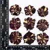 Rosa Flor Real Flor Prensada Espécime Adesivo Facial Flor Prensada Luminária de Mesa Adesivo de Vela Flor Seca DIY Feito à Mão Materiais de Flor Seca