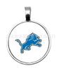 Collar con colgante del equipo de fútbol americano transfronterizo de la NFL de 32 equipos: Detroit Lions
