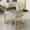 Silla Sofá de Lujo Sencillo para el Hogar Silla de Ocio para Apartamento Pequeño Sala de Estar Sofá Individual Tocador de Dormitorio Silla de Maquillaje