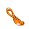 Cable de alimentación de cola universal estándar europeo Cable de cola de enchufe de tres clavijas europeo Cable de enchufe de tres núcleos para chasis de computadora arrocera