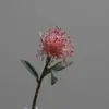 Flor de segurar com Yang arte floral casa roupa macia material para arranjo de flores almofada de agulha flor cor retrô decoração adereços de fotografia