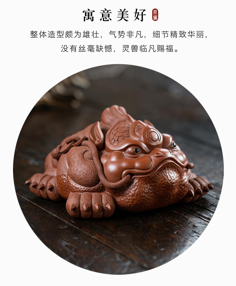 霸王蟾20210719 (12).jpg