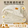 Directamente del fabricante, edredón de fibra de soja de algodón puro, edredón de invierno, edredón de primavera y otoño, núcleo de edredón amigable con la piel, edredón individual 100% algodón para dormitorios estudiantiles