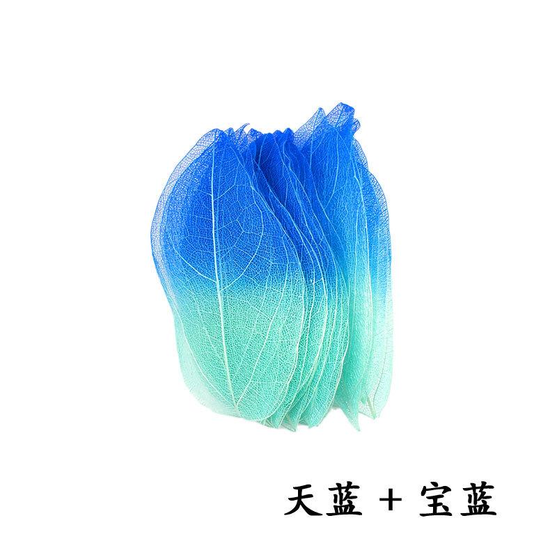 双色金刚叶天蓝+宝蓝.jpg