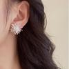 Brincos de metal zircônia linhas de fogos de artifício dente-de-leão nicho requintado tendência Coringa personalidade brincos de moda mulheres atacado