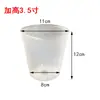 Plántulas Plántulas Vasos Nutritivos Plantas de Plántula Dendrobium Flores en Maceta Orquídeas Plantación Nutritiva Plástico Phalaenopsis Transparente