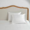 Producto único transfronterizo Wal-Mart Amazon comercio exterior textil para el hogar ropa de cama almohada color sólido funda de almohada de seda de color