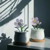 Vidrio Violeta Zibo Flor Artificial Planta Verde Regalo del Día de la Madre Planta en Maceta Transfronteriza Decoración Arte Floral de Alta Gama
