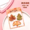 Estilo Ins Folhas Artificiais Frescas Notas Adesivas Folha de Bordo Criativa Ginkgo Mensagem Reutilizável Planejador de Recados Decoração Recado