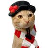 Amazon Transfronterizo Nuevo Set de Sombrero de Vaquero Navideño Tejido a Mano, Sombrero Universal Lindo para Gatos y Perros