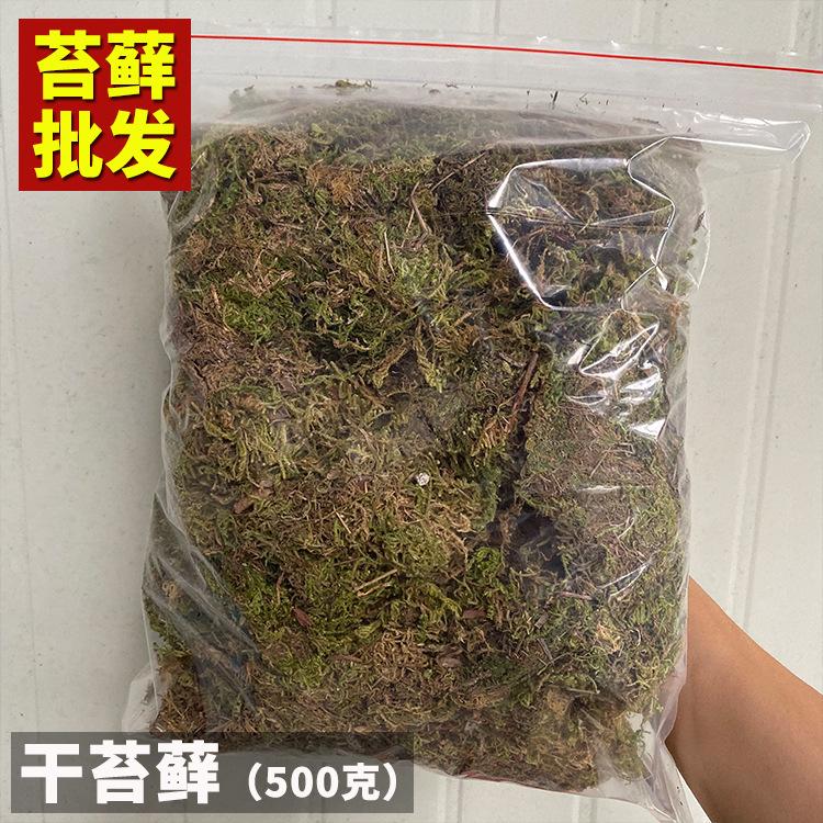 干苔藓