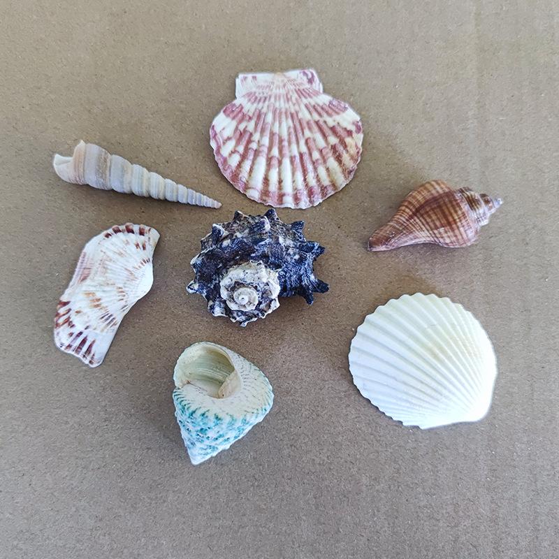 6个不重复主图3