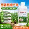 Cebolleta Jengibre Ajo Pionero Fertilizante Foliar Promoción de Raíces Plántulas Fuertes Raíces y Tallos Hinchados Mejora de la Calidad Aumento del Rendimiento Garantía de Calidad Ventas Directas del Fabricante
