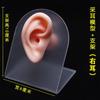 Modelo de Oreja de Silicona Oreja Artificial Realista Recogida de Oreja Enseñanza Silicona Suave Conducto Auditivo Largo 1:1 Oreja Falsa