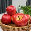 Fábrica de Origen Frutas y Verduras Artificiales Altas Venta al por Mayor Modelo de Manzana Roja Falsa Decoración del Hogar Accesorios de Fotografía Educación Temprana