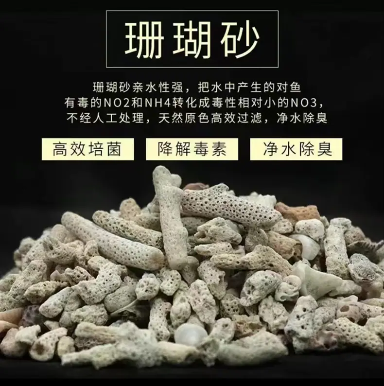 珊瑚沙7