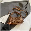 Bolso de mano minimalista con estampado de leopardo transfronterizo para mujer 2025 nuevo otoño e invierno personalidad moderno bolso cruzado moda tote bolso dumpling