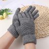 Luvas Personalizadas pelo Fabricante Outono e Inverno Estudantes do Sexo Feminino Tricotadas Cor Pura Luvas Quentes Caxemira Imitada Luvas para Tela Sensível ao Toque Luvas Jacquard